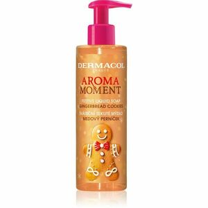 Dermacol Aroma Moment Gingerbread Cookies tekuté mýdlo na ruce 250 ml obraz