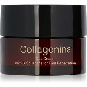 Collagenina Grade 1 Day Cream zpevňující denní krém s kolagenem 50 ml obraz
