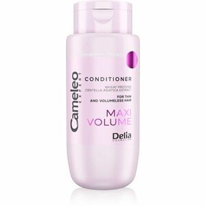 Delia Cosmetics Cameleo Expert Maxi Volume Conditioner kondicionér pro vlasy bez objemu 300 ml obraz