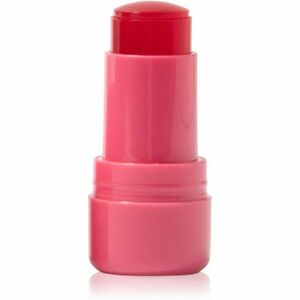Technic Cosmetics Jelly Tint tvářenka v tyčince na rty a tváře odstín Red Hot 9 g obraz