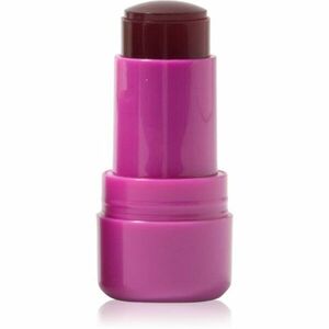 Technic Cosmetics Jelly Tint tvářenka v tyčince na rty a tváře odstín Berry Cool 9 g obraz