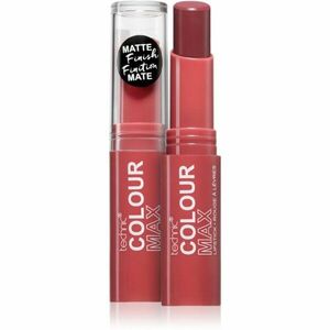 Technic Cosmetics Colour Max matná rtěnka odstín Kiss Catch 3.5 g obraz