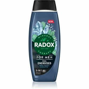 Radox Feel Energised sprchový gel pro muže 2 v 1 450 ml obraz
