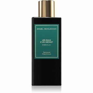 Angel Schlesser Les Eaux D'Un Instant Absolu Sensual Patchouli parfémovaná voda unisex 100 ml obraz