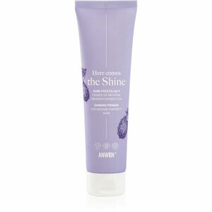 Anwen Here Comes The Shine Shining Primer For Medium Porosity Hair podkladová báze na vlasy 100 ml obraz