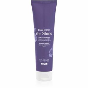 Anwen Here Comes The Shine Shining Primer For High Porosity Hair podkladová báze na vlasy 100 ml obraz