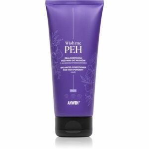 Anwen Wish me PEH Balanced Conditioner for Highly Porosity Hair kondicionér pro porézní vlasy 200 ml obraz