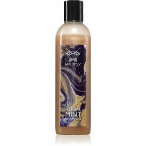 MR FOX Herbal Mint Shampoo bylinný šampon pro muže 250 ml obraz