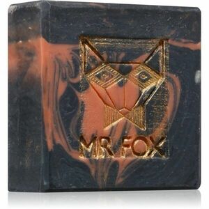 MR FOX Gentleman Soap mýdlo na vousy 95 g obraz