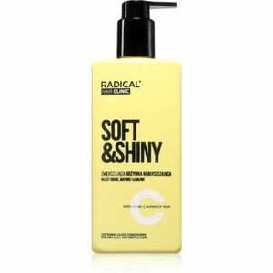 Farmona Hair Clinic Softening Gloss Conditioner kondicionér pro suché a křehké vlasy 260 ml obraz