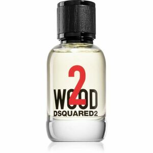 Dsquared2 2 wood toaletní voda pro muže 50 ml obraz