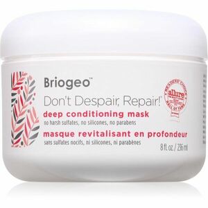 Briogeo Don't Despair, Repair! hydratační maska na vlasy 236 ml obraz