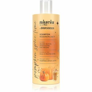 so!flow Pumpkin Time Regenerating Shampoo regenerační šampon pro suché a oslabené vlasy 300 ml obraz