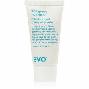 EVO Hydrate The Great Hydrator hydratační maska pro lesk suchých a křehkých vlasů 30 ml obraz