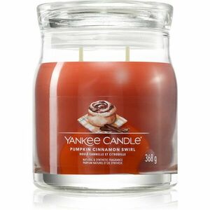 Yankee Candle Pumpkin Cinnamon Swirl vonná svíčka 368 g obraz