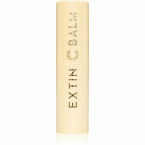 KAHI Extin C Balm Stick hydratační balzám pro rozjasnění a vyhlazení pleti 9 g obraz