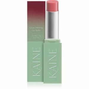 KAINE Glow Melting Lip Balm hydratační balzám na rty s regeneračním účinkem odstín #02 Rosy Plum 3.7 g obraz