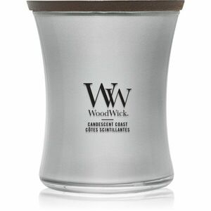 Woodwick Precious Metals Candescent Coast vonná svíčka 275 g obraz
