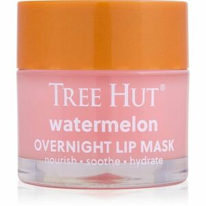 Tree Hut Watermelon Lip Mask noční maska na rty 17 g obraz
