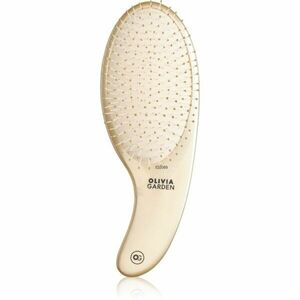 Olivia Garden Expert CURVE Nylon Gold kartáč na mokré vlasy 1 ks obraz