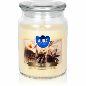 BISPOL Premium Line Vanilla vonná svíčka 500 ml obraz