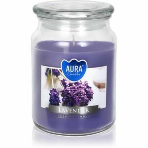 BISPOL Premium Line Lavender vonná svíčka 500 ml obraz