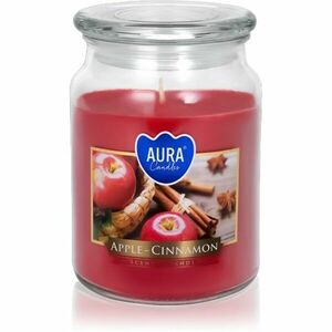 BISPOL Premium Line Apple - Cinnamon vonná svíčka 500 ml obraz