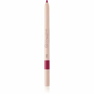 Collistar Twist Design Lip Pencil krémová tužka na rty odstín 113 - Autumn Berry 0.4 g obraz