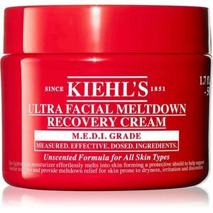 Kiehl's Ultra Facial Meltdown Recovery Cream lehký regenerační krém 50 ml obraz