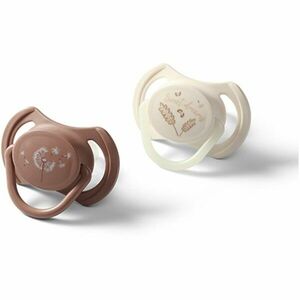 BabyOno Take Care Symmetrical Silicone Soothers dudlík Day & Night 18m+ 2 ks obraz