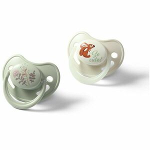 BabyOno Take Care Anatomical Silicone Soothers dudlík Day & Night 6-18m 2 ks obraz