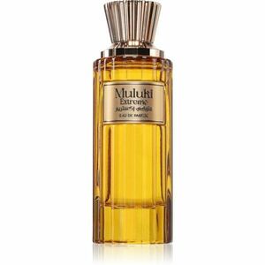 Risala Elite Muluki Extreme parfémovaná voda pro muže 100 ml obraz