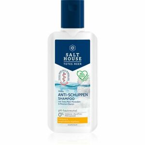 Salt House Dead Sea Therapy Anti-dandruff Shampoo šampon proti lupům 250 ml obraz