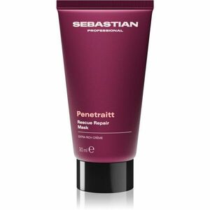 Sebastian Professional Penetraitt maska pro poškozené, chemicky ošetřené vlasy 30 ml obraz