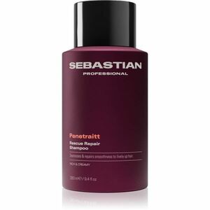 Sebastian Professional Penetraitt šampon pro poškozené, chemicky ošetřené vlasy 280 ml obraz