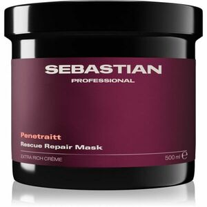 Sebastian Professional Penetraitt maska pro poškozené, chemicky ošetřené vlasy 500 ml obraz