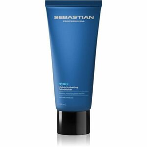 Sebastian Professional Hydre hloubkově hydratační kondicionér 200 ml obraz