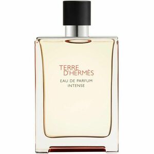 HERMÈS Terre d’Hermès Eau de Parfum Intense parfémovaná voda intense pro muže 175 ml obraz