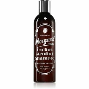 Morgan's Cooling Menthol Shampoo povzbuzující mentolový šampon na vlasy a pokožku hlavy pro muže 250 ml obraz