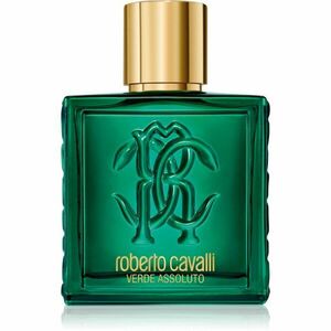 Roberto Cavalli Uomo Verde Assoluto parfémovaná voda pro muže 100 ml obraz