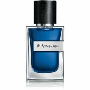 Yves Saint Laurent Y Iced Cologne toaletní voda pro muže 60 ml obraz