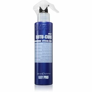Kaypro Botu-Cure Phase 2 posilující sprej pro poškozené vlasy 200 ml obraz