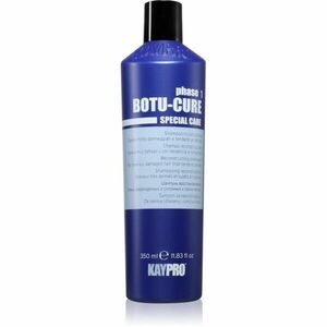 Kaypro Botu-Cure Phase 1 posilující šampon pro poškozené vlasy 350 ml obraz