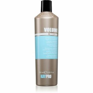 Kaypro Volume Volumizing Shampoo šampon pro objem pro jemné vlasy 350 ml obraz