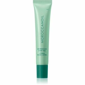 Moroccanoil Lip Balm balzám na rty odstín Moroccan Mint Tea 15 g obraz