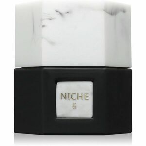 Reef Perfumes Niche 6 parfémovaná voda unisex 50 ml obraz