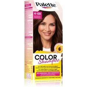 Schwarzkopf Palette Color Shampoo tónovací šampon odstín 4-68 Red Brown 50 ml obraz