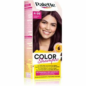 Schwarzkopf Palette Color Shampoo tónovací šampon odstín 4-99 Bordeaux 50 ml obraz