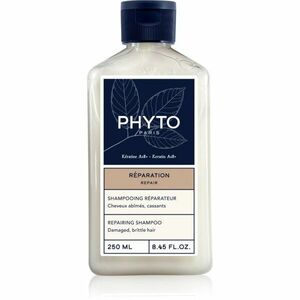 Phyto Repair Repairing Shampoo obnovující šampon pro poškozené vlasy 250 ml obraz