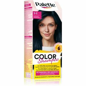 Schwarzkopf Palette Color Shampoo tónovací šampon odstín 1-1 Blue Black 50 ml obraz